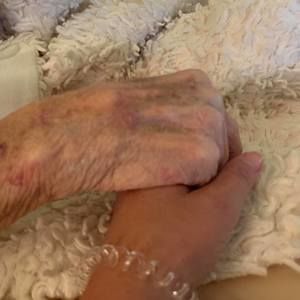 Meet your Posher, Dina